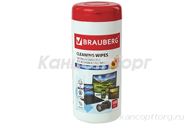        BRAUBERG   ,  100 , , 513321 